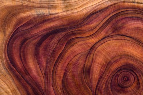 wood pattern - nature stock pictures, royalty-free photos & images