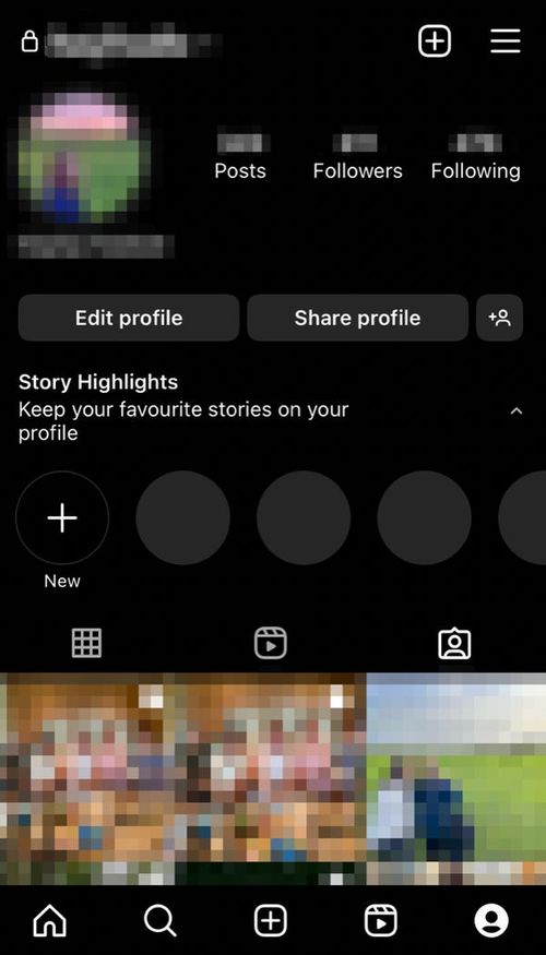 Instagram profile section of mobile app