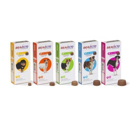 bravecto pour chien