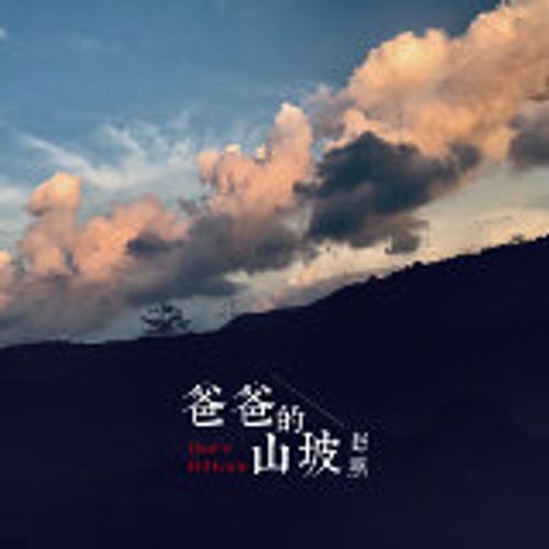赵照 - 爸爸的山坡
