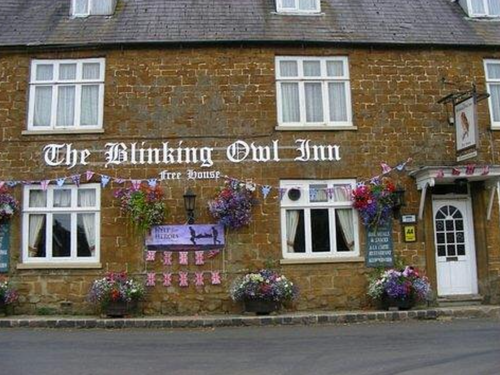 The Blinking Owl