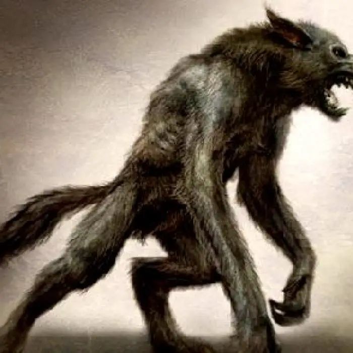 Le Loup-Garou, Werewolf ou Dogman : Pas si imaginaire ! Yy5qcGc
