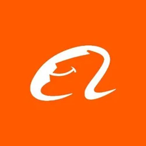 Alibaba Group's icon