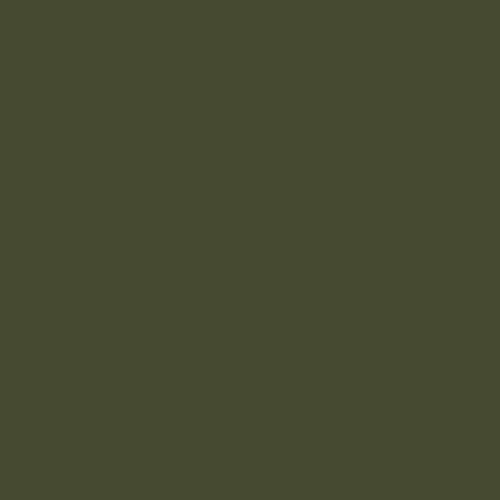 Olive Green Paint Colour