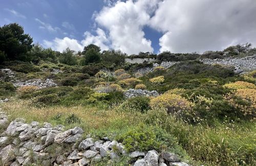 Parco Naturale Regionale di Alta Murgia