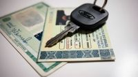 Novo projeto pode alterar prazo da PPD e cassar CNH por infração grave