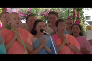 The Jeff Goldblum Song