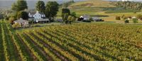 Virginia Wineries with Fine Dining - Wine and Country Life
