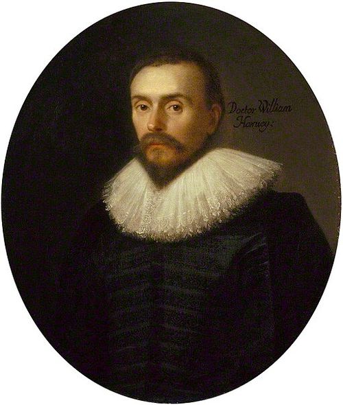 William_Harvey_2.jpg