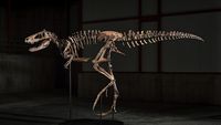 Sotheby’s dinosaur auction shows fossils boom is not dying out - Financial Times