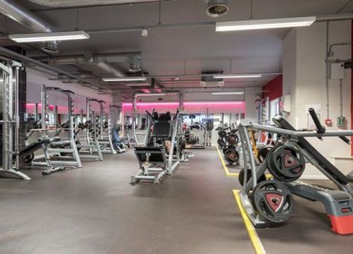 Kiss Gyms