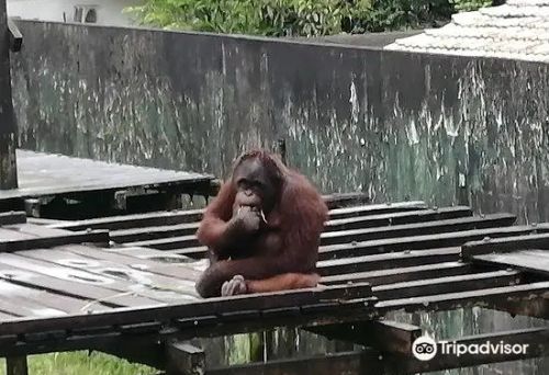 Matang Wildlife Centre