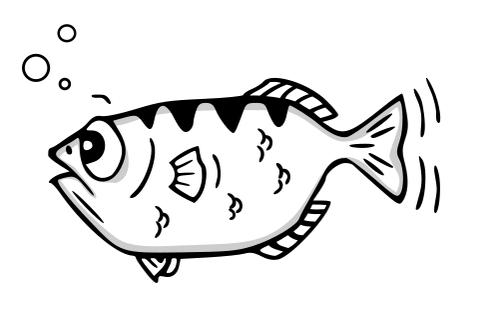 GDB Archer Fish by Andreas Arnez