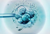 DNA editing of human embryos reignites debate over designer babies - The Washington Post
