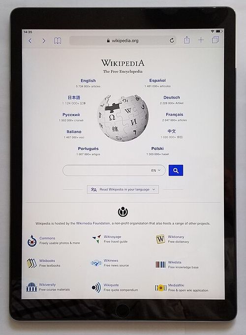 Wikipedia_on_iPad_Pro.jpg