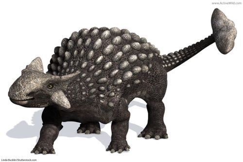 dinosaur names and pictures ankylosaurus