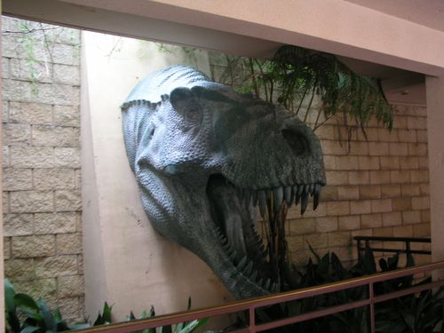 dinosaur disney s animal kingdom 2