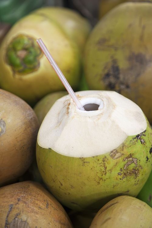 Coconut