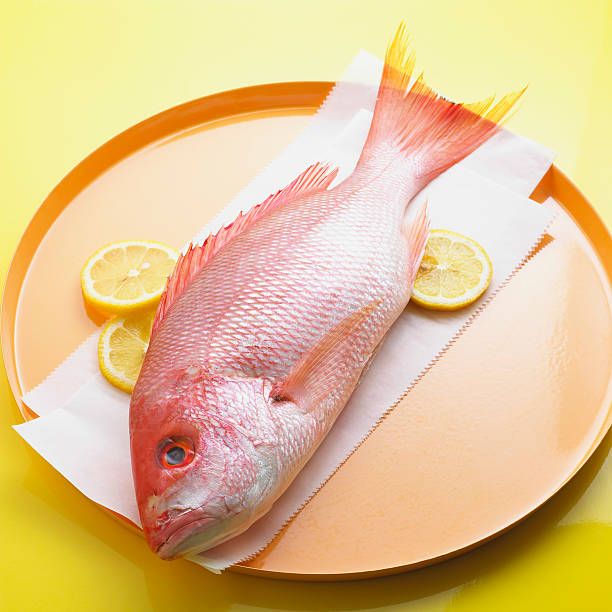 whole red snapper - red snapper stock pictures, royalty-free photos & images