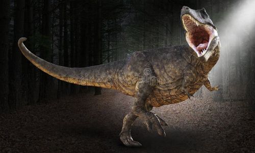T-Rex, Tyrannosaurus Rex dinosaur illustration. The extinct giant lizard is in the deeps woods, forest, or jungle. Dinosaur stock images, royalty-free photos and pictures