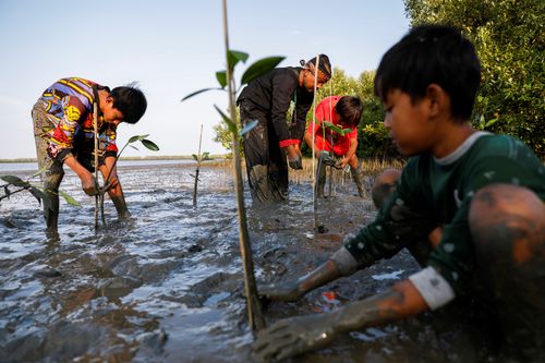 Samsudin, 50, plants mangrove trees with local children at Tiris beach in Pabeanilir village, Indramayu regency, West Java province, Indonesia.