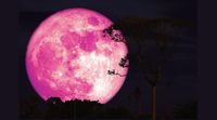 Beyond the Bloom: What the Annual Lunar Cycle Reveals About Our Modern Relationship with Nature