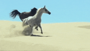 https://imgs.search.brave.com/7Lc8n-tg1b5-se0M4PvnrOeElQyWr2CA5MBcZ5xoeIQ/rs:fit:860:0:0:0/g:ce/aHR0cHM6Ly9tZWRp/YTEuZ2lwaHkuY29t/L21lZGlhL3YxLlky/bGtQVGM1TUdJM05q/RXhhbUp4YXpab2Qy/bHBNWFF5ZG5acFpH/Wm1PWGhqTUhscmQz/WXlielppYVRneE5H/RjVjbTAwT1NabGNE/MTJNVjluYVdaelgz/TmxZWEpqYUNaamRE/MW4vQnlUaDhVVE9j/T1hMMi8yMDAuZ2lm.gif