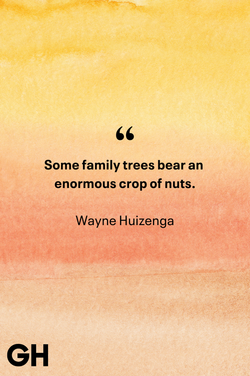 family quotes wayne huizenga