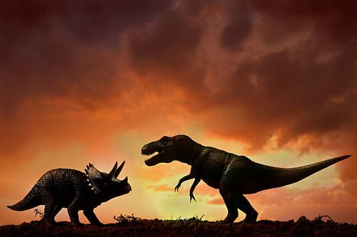 Dinosaurs Dinosaurs fight in nature. dinosaurs fighting stock pictures, royalty-free photos & images
