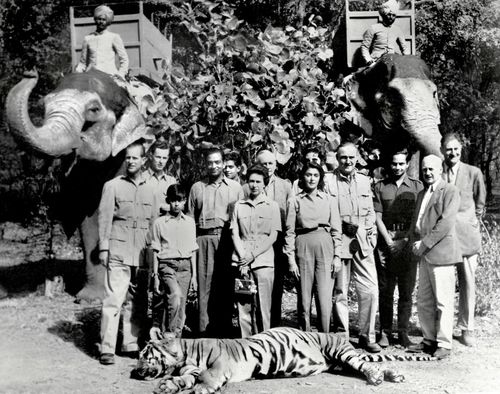 GettyImages-150197859 elizabeth ii tiger