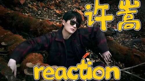 加急充电专场【许嵩 reaction】哇塞 是我没听过的风格 感觉好新鲜好有意思 许嵩真的很会把唱歌唱的跟讲话一样 真是全能型的基本什么都包揽啦