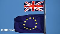Norfolk businesses reflect on backing Brexit - BBC News