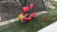 Woman, 45, killed and several hurt in Elk Grove Village wreck - Chicago Sun-Times