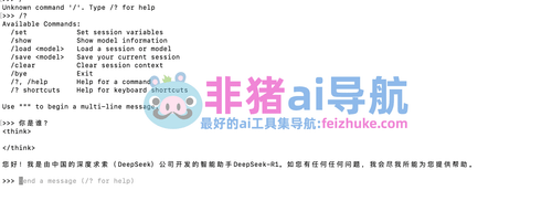 DeepSeek部署教程+使用技巧