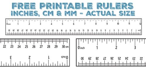 rulers with the words free printable rulers inches cm mm actual size