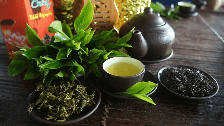 Trà Tân Cương Thái Nguyên