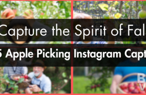 Apple Picking Instagram Captions
