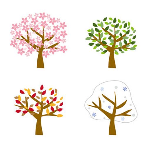 春夏秋冬季節の木のセット