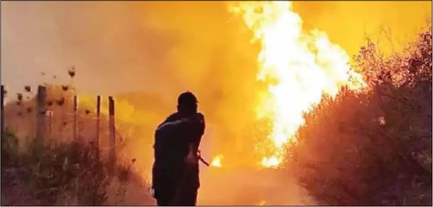 Algeria’s Death Penalty Law for Forest Arson Raises Questions Beyond Punishment