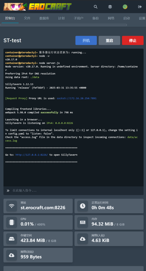 服务器详情控制台界面截图