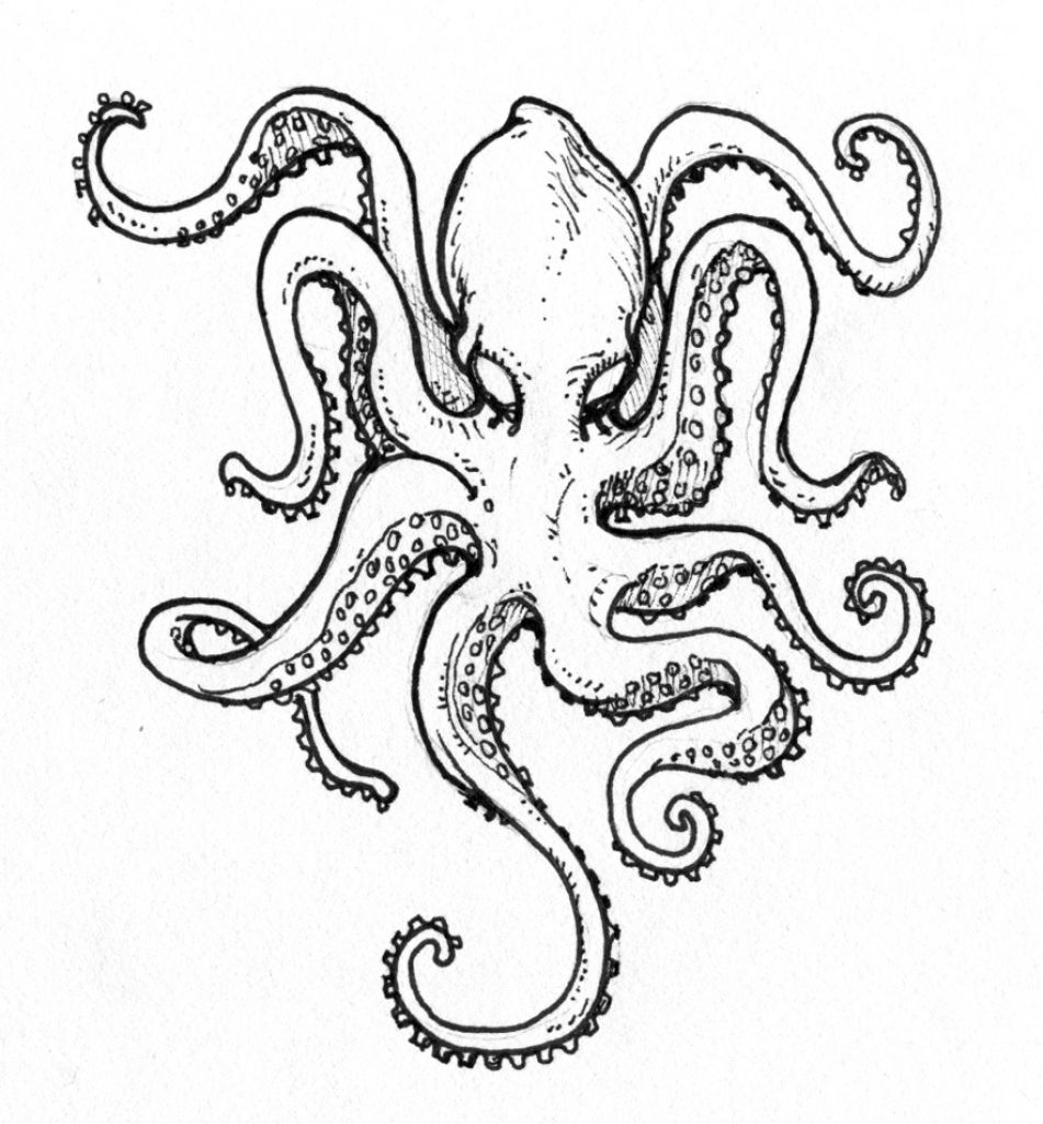 Easy Octopus Drawing at GetDrawings | Free download