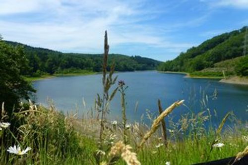 Schönefeld Lake (Schlafwassertalsperre)