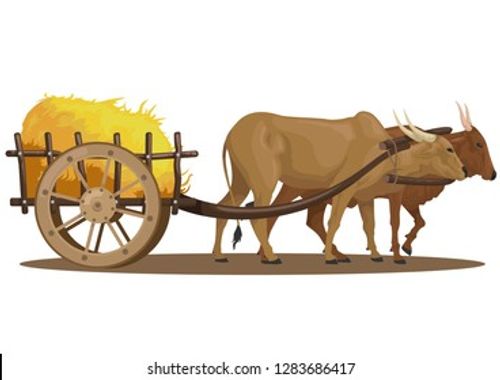 stock vector a cattle pull full of hay in the wooden cart. traditional transportation cartoon nature concept Stock Vector