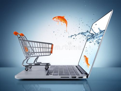 E-commerce Boutique