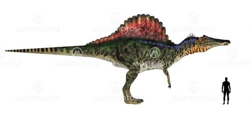 Spinosaurus Size Comparison