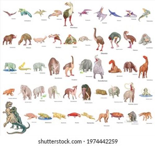 Set of 50 dinosaur with names Stock Vector