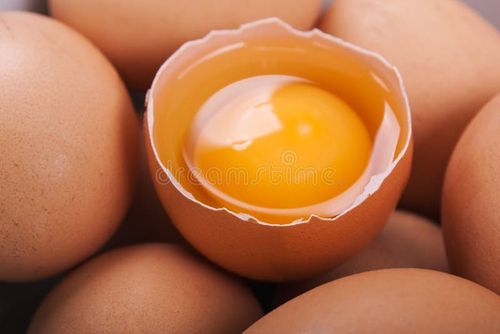 Brown chicken egg food white background isolated. Egg stock images, royalty-free photos and pictures