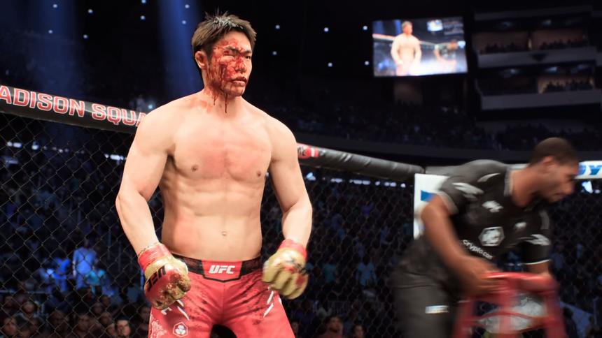 Bloody fighter UFC 5.