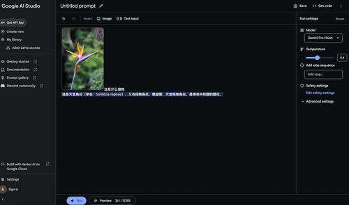 在Google AI Studio中使用Gemini Pro语言模型4.png