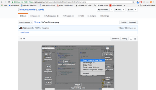 Opening the image in a new tab